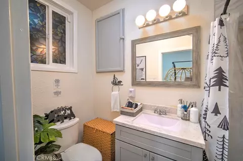 Bath - 582 Rose Ln, Twin Peaks, CA 92391 photo 9 of 11