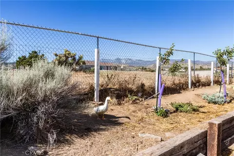 8650 Cowberry, Phelan, CA 92371 photo 57