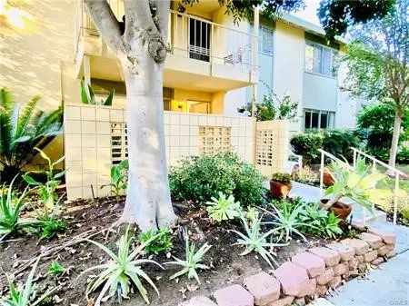 185 Avenida Majorca #D, Laguna Woods, CA 92637