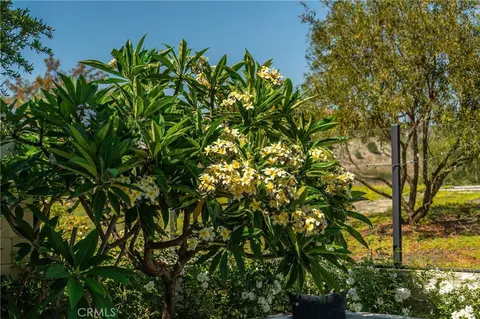 Exterior - 51 Thrush, Irvine, CA 92618 photo 11 of 18