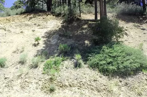 801 Menlo, Big Bear Lake, CA 92315 photo 3