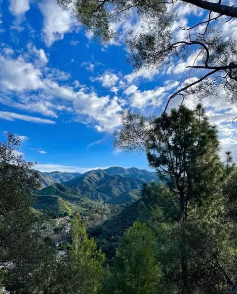 Other - 28151 Modjeska Grade Rd, Silverado, CA 92676 photo 18 of 24