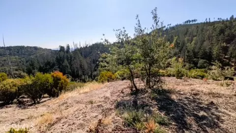 13711 Prather, Cobb, CA 95426 photo 4