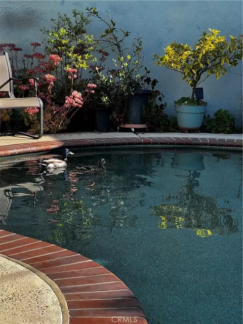 Exterior - 446 N Park Ln, Orange, CA 92867 photo 12 of 18