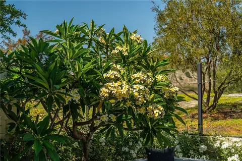 Exterior - 51 Thrush, Irvine, CA 92618 photo 10 of 17