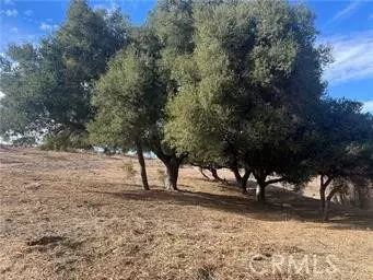 42800 Calle Capistrano, Temecula, CA 92590 photo 4