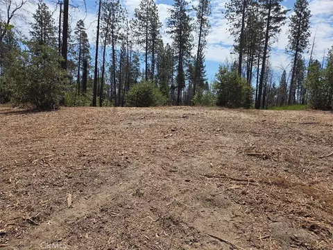 1090 Bald Rock Rd, Berry Creek, CA 95916