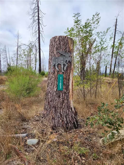 1103 Bald Rock Rd, Berry Creek, CA 95916