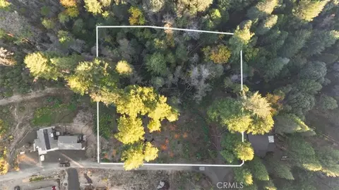 0 Path In The Woods, Berry Creek, CA 95916