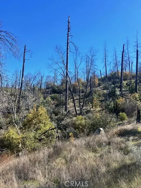 0 Craig Access, Feather Falls, CA 95940 photo 18
