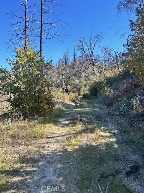 0 Craig Access, Feather Falls, CA 95940 photo 7