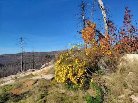 161 Shadow Creek Rd, Berry Creek, CA 95916