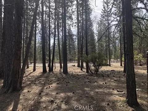 0 Red Cedar Ct, Etna, CA 96027 photo 2