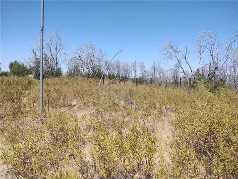 363 Raccoon Rd, Berry Creek, CA 95916