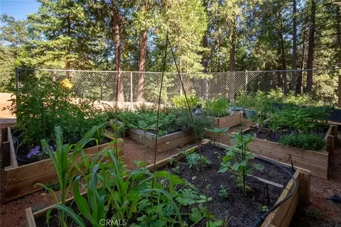 Exterior - 10647 Forbestown Rd, Challenge, CA 95925 photo 18 of 29