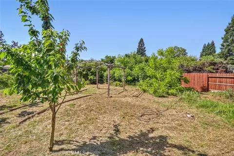 Exterior - 1875 Sycamore St, Gridley, CA 95948 photo 17 of 20