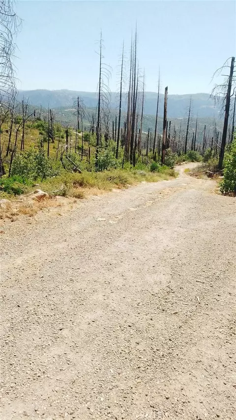 0 Enumclaw, Berry Creek, CA 95916