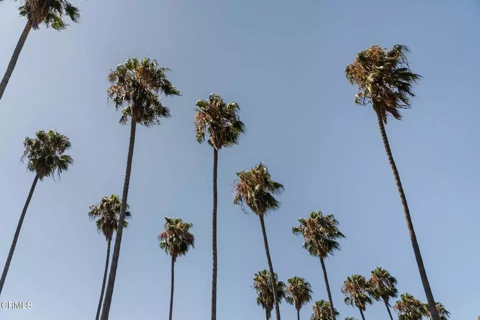 Other - 4822 6th Ave, Los Angeles, CA 90043 photo 11 of 11