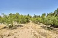 Other - 9975 Custer Ave, Lucerne Valley, CA 92356 photo 5 of 14