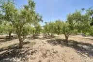 Other - 9975 Custer Ave, Lucerne Valley, CA 92356 photo 9 of 14