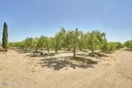 Other - 9975 Custer Ave, Lucerne Valley, CA 92356 photo 7 of 14