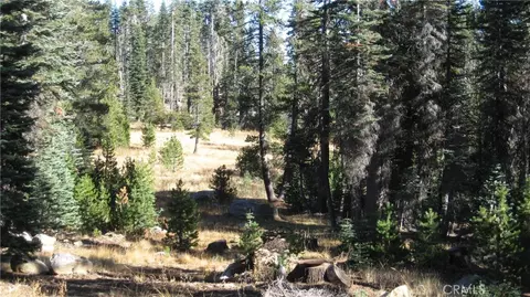 0 Sugar Pne, Berry Creek, CA 95972