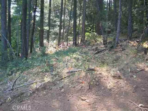 0 He Le Ve Rd, Berry Creek, CA 95916