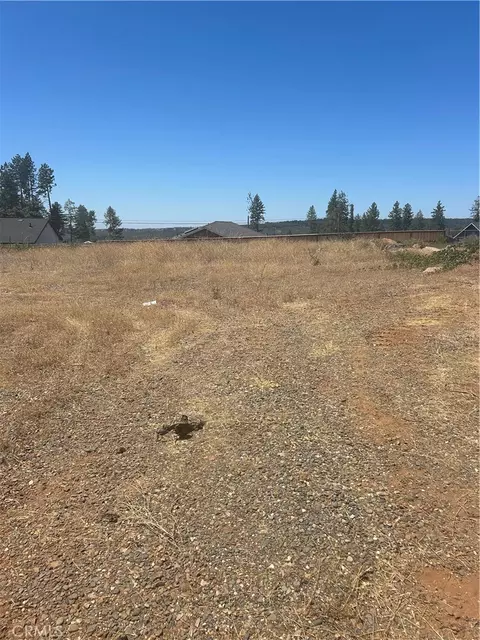 8675 Skyway, Paradise, CA 95969