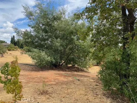 4847 Skyway, Paradise, CA 95969 photo 20