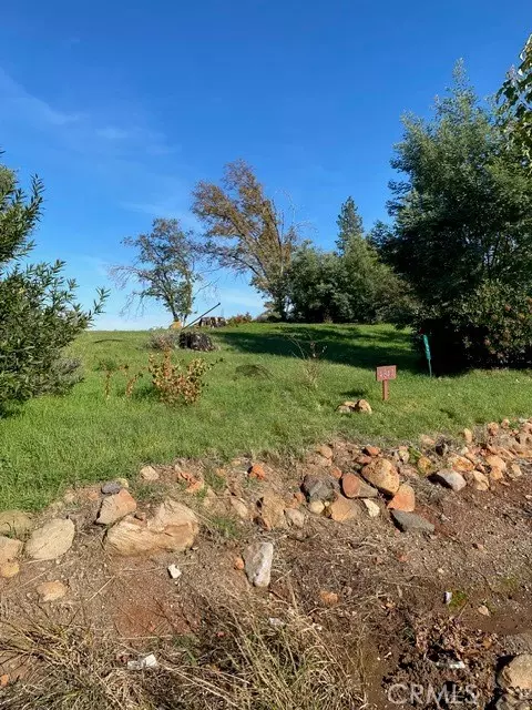 4847 Skyway, Paradise, CA 95969 photo 17