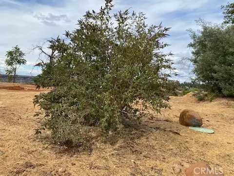 4847 Skyway, Paradise, CA 95969 photo 18