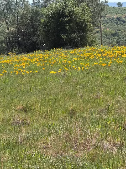 0 Round Valley Ranch Rd, Paradise, CA 95969