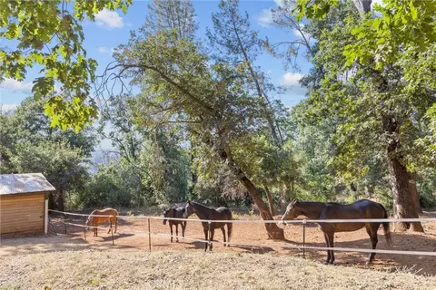 Exterior - 4592 Wendlis Rd, Forest Ranch, CA 95942 photo 12 of 15