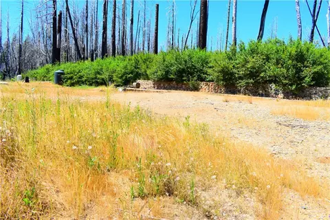 461 Milsap Bar, Berry Creek, CA 95916