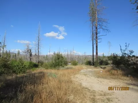 95 Shane Ct, Berry Creek, CA 95916