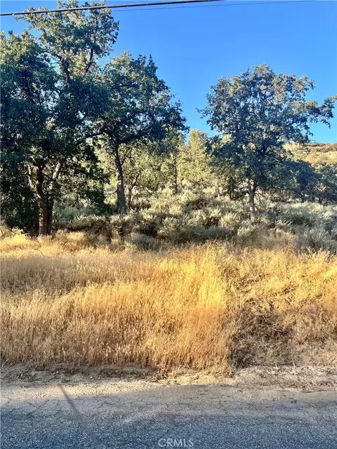 0 Alps Dr, Alpine Forest, CA 93561 photo 2
