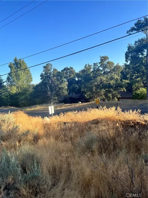 0 Alps Dr, Alpine Forest, CA 93561 photo 4