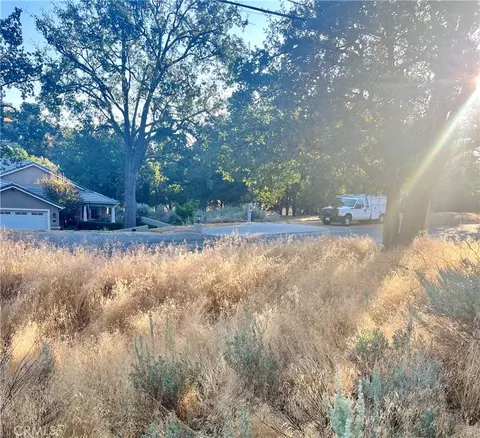0 Alps Dr, Alpine Forest, CA 93561 photo 3
