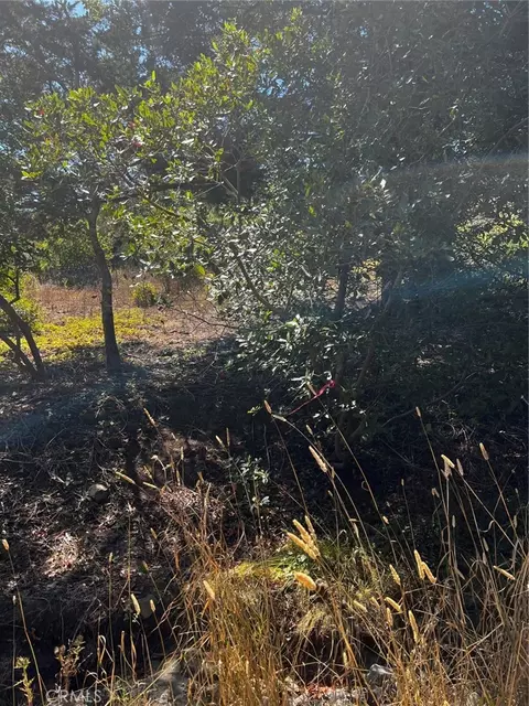 3236 Gleason St, Cambria, CA 93428