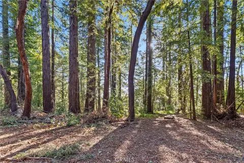 4419 Trout Gulch, Aptos, CA 95003 photo 2