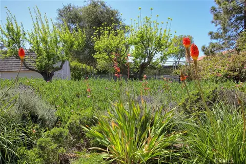 Exterior - 435 Eucalyptus Rd, Nipomo, CA 93444 photo 19 of 27