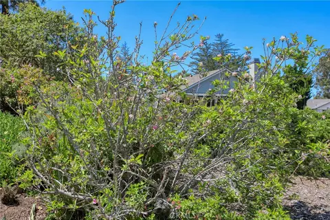 Exterior - 435 Eucalyptus Rd, Nipomo, CA 93444 photo 18 of 27