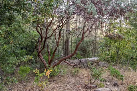 35528 Road 223, North Fork, CA 93643 photo 14