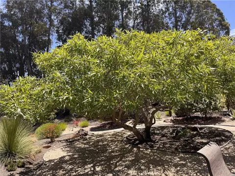 1007 Maggie Ln, Nipomo, CA 93444 photo 3