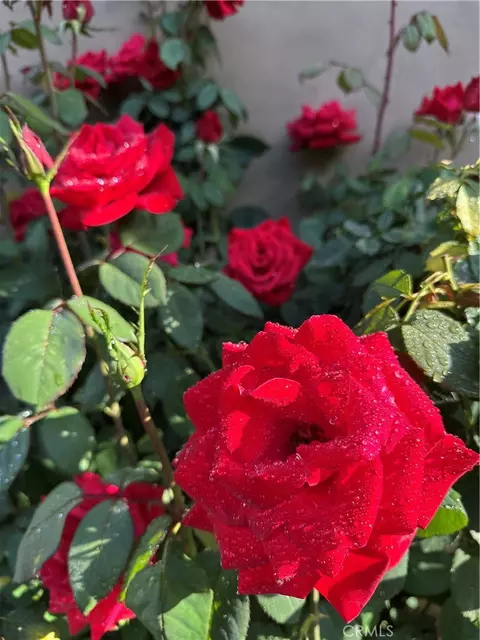 Exterior - 641 University Dr, Lompoc, CA 93436 photo 12 of 12