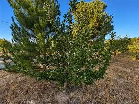 5430 Fa-rousse, Paso Robles, CA 93446 photo 34