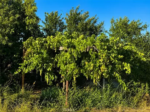 5430 Fa-rousse, Paso Robles, CA 93446 photo 23