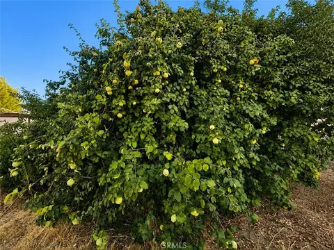 5430 Fa-rousse, Paso Robles, CA 93446 photo 32