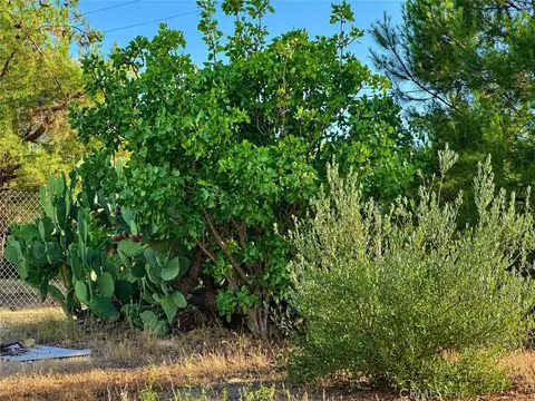 5430 Fa-rousse, Paso Robles, CA 93446 photo 36