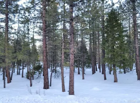 0 Glacier Dr #LOT 12, Alturas, CA 96101